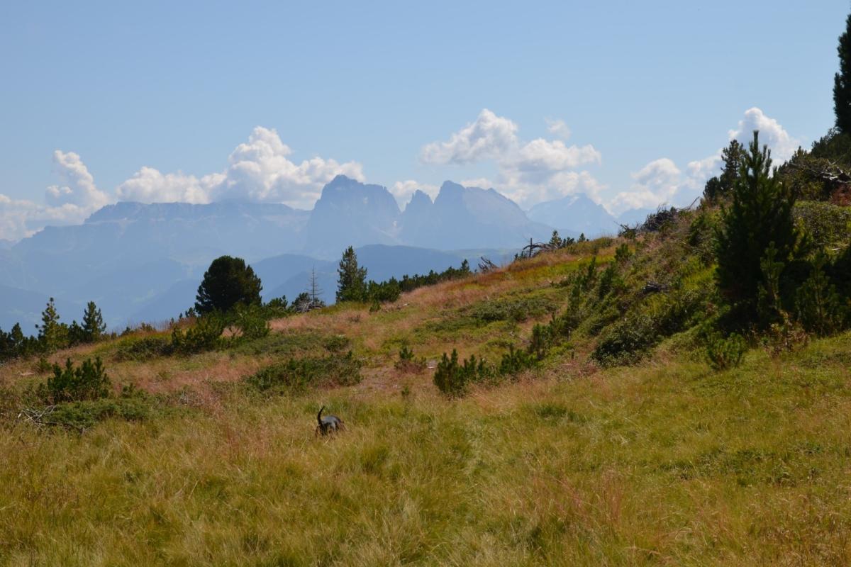 Latschenoelbrennerei 27.08.2019